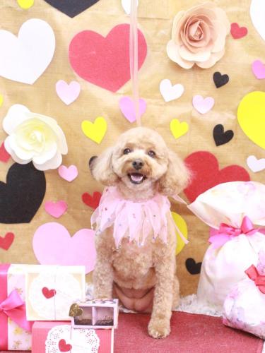 20230226パンちゃん